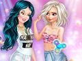 Princess New Hobby 