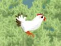 Chicken run 