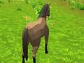 Horse simulator 3D Horse simulator 3D