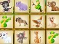 Find This Animal 