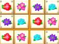 Flower Sudoku Flower Sudoku