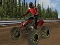 Quad motorcycle racing 