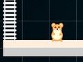 Smart Hamster: Even and Odd 