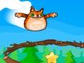 Shot of an angry cat 