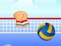 Volley Ball 