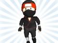 Nano Ninja 