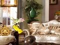 Antique Room Hidden Objects 