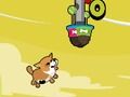 Flying pets 