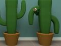 Cactus Cube Cactus Cube
