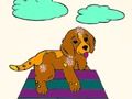 Pets Coloring Book 
