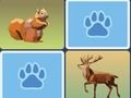 Wild Memory Match 