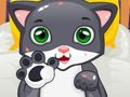 Little Cat Doctor 