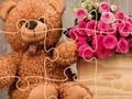 Teddy Bear Puzzle 