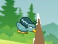 Kiwi Adventure 2 
