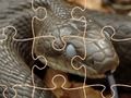 Mysterious Snakes: Puzzle 