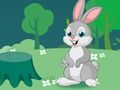 Rabbit Bubble Shooter 