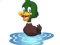 Duck Memory Challenge 