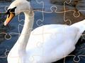 Swan Puzzle Challenge 