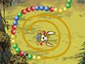 Zuma Kangaroo Zuma Kangaroo