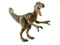 Dinosaur Memory Challenge 