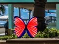 Find 100 butterflies Find 100 butterflies