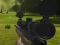 Classical Hippo Hunting 