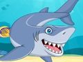 Shark Jigsaw 