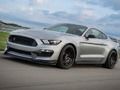 Mustang Shelby Puzzle 