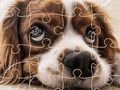 Funny dogs puzzle Funny dogs puzzle