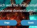Animal Trivia 