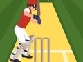 Pro Cricket Champion 