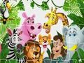 King of Jungle 