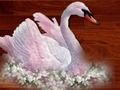 Love Birds Puzzle 