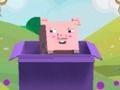 Animals Box 