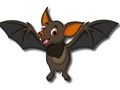 Cute Bat Memory 