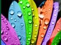 Colours And Designs 