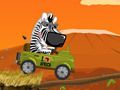 Safari Time