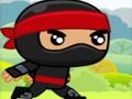 Ninja 