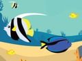 Fishy Differences 