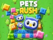 Pets Rush Pets Rush