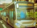 Town Bus Driver 