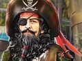 The Captain's Treasure 