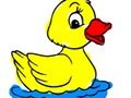 Back To School: Ducks Coloring Book 