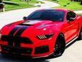 Fancy Mustang Differences 