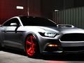 Daily Mustang 