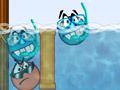Aqua Dudes