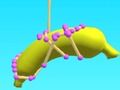 Untangled 3D 