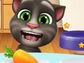 Talking Tom Hidden Stars 