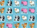 Animals Collection 
