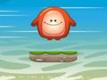 Choly Waterhop 